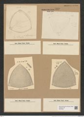 Triceratium broeckii Lend.-Fortm. (de-Toni-Nr.: Genus 140, Species 3723) Zeichnungen Sammlung Grunow Nr. 7229 (NHMW-BOT-W0376221)